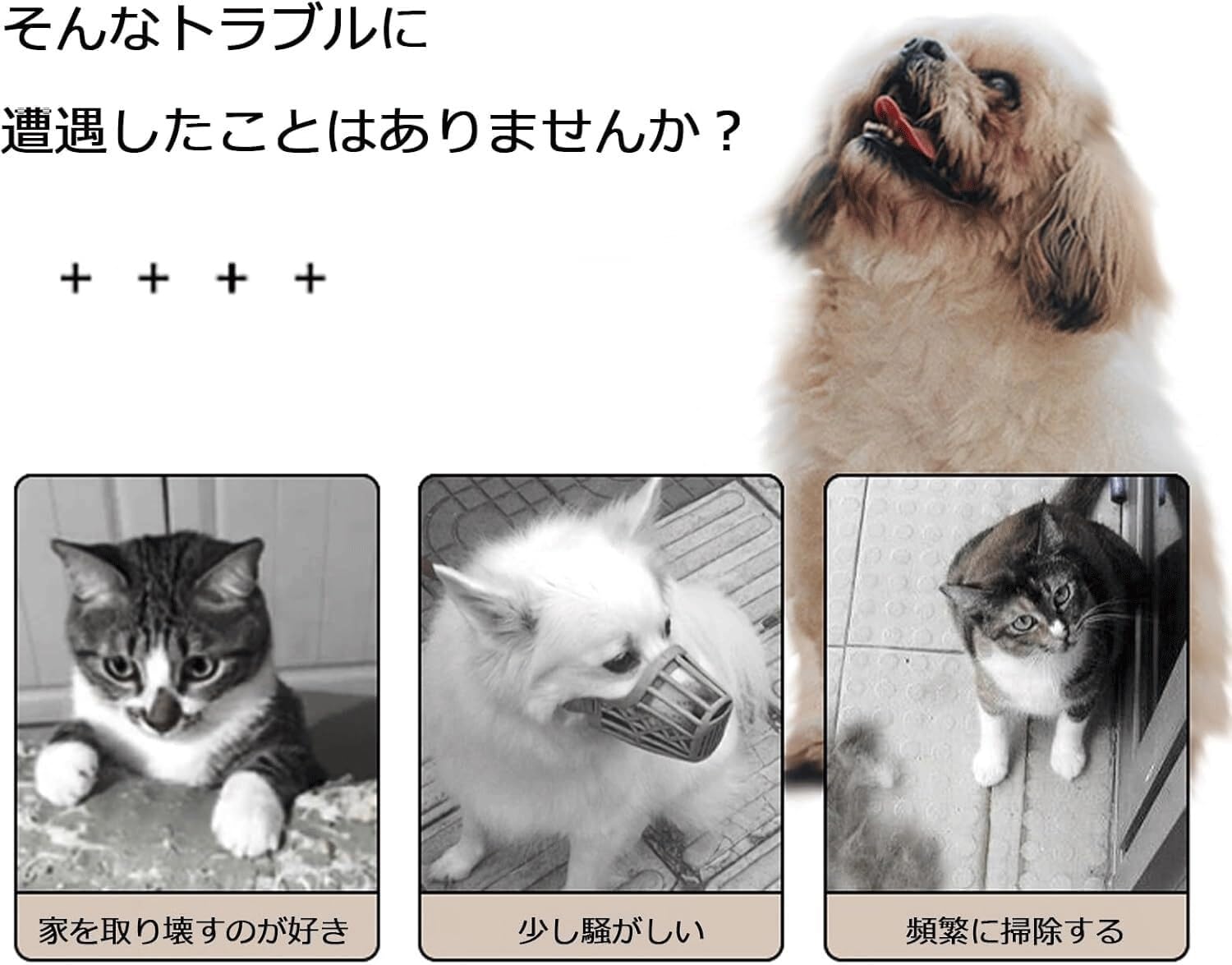 Amazon | ペット防音室（大型犬・猫用） 静音設計 換気ファン付き 強化